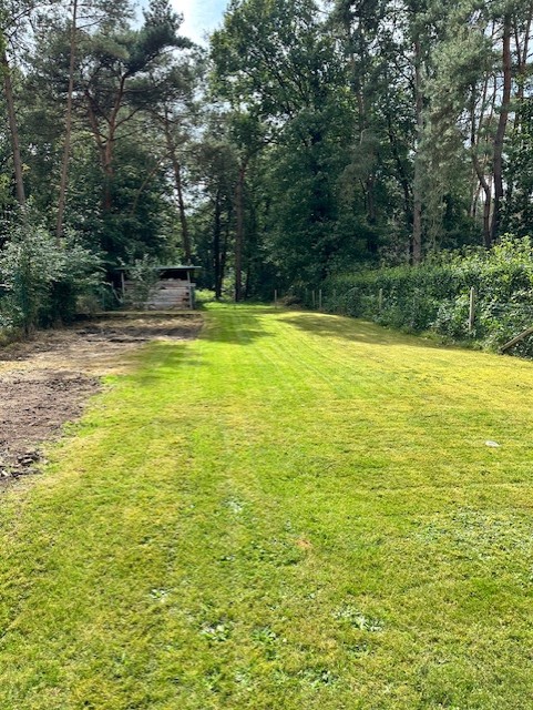 Gazon gemaaid door Lemmens Vastgoedonderhoud