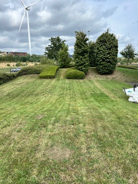 Gazon gemaaid met strepen