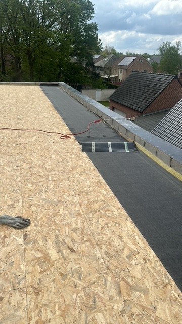 Dakwerken in Limburg