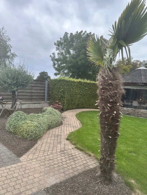 Tuinonderhoud in Limburg