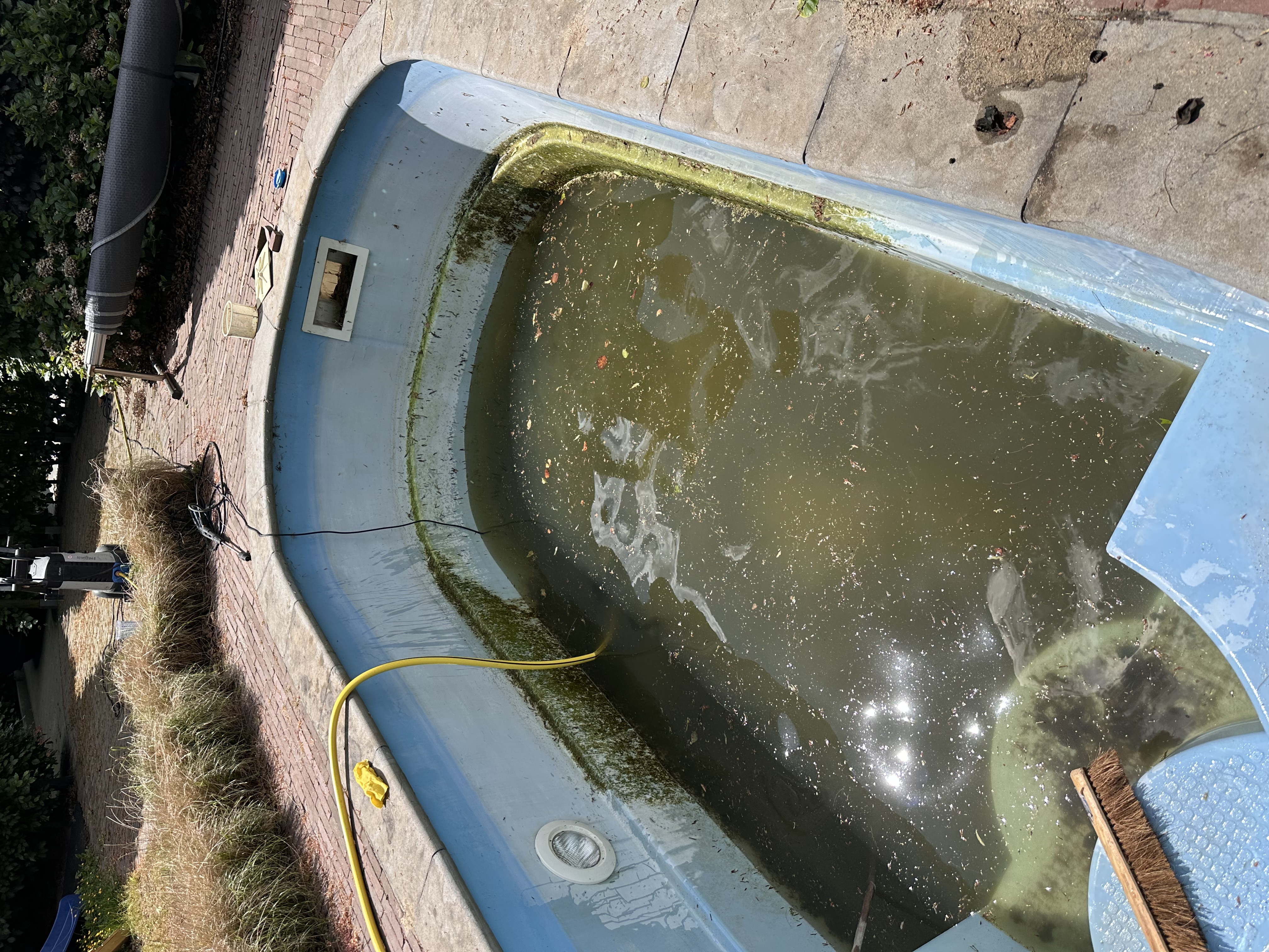 Zwembad reiniging voor