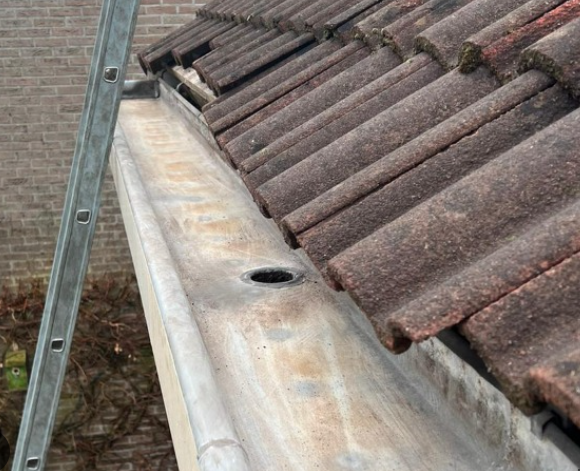 lemmensvastgoedonderhoud dakwerken